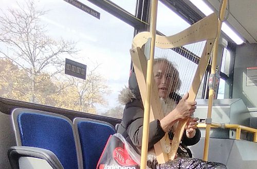 Unexpected Encounter: A Harpist on the 11 Bus in Toronto