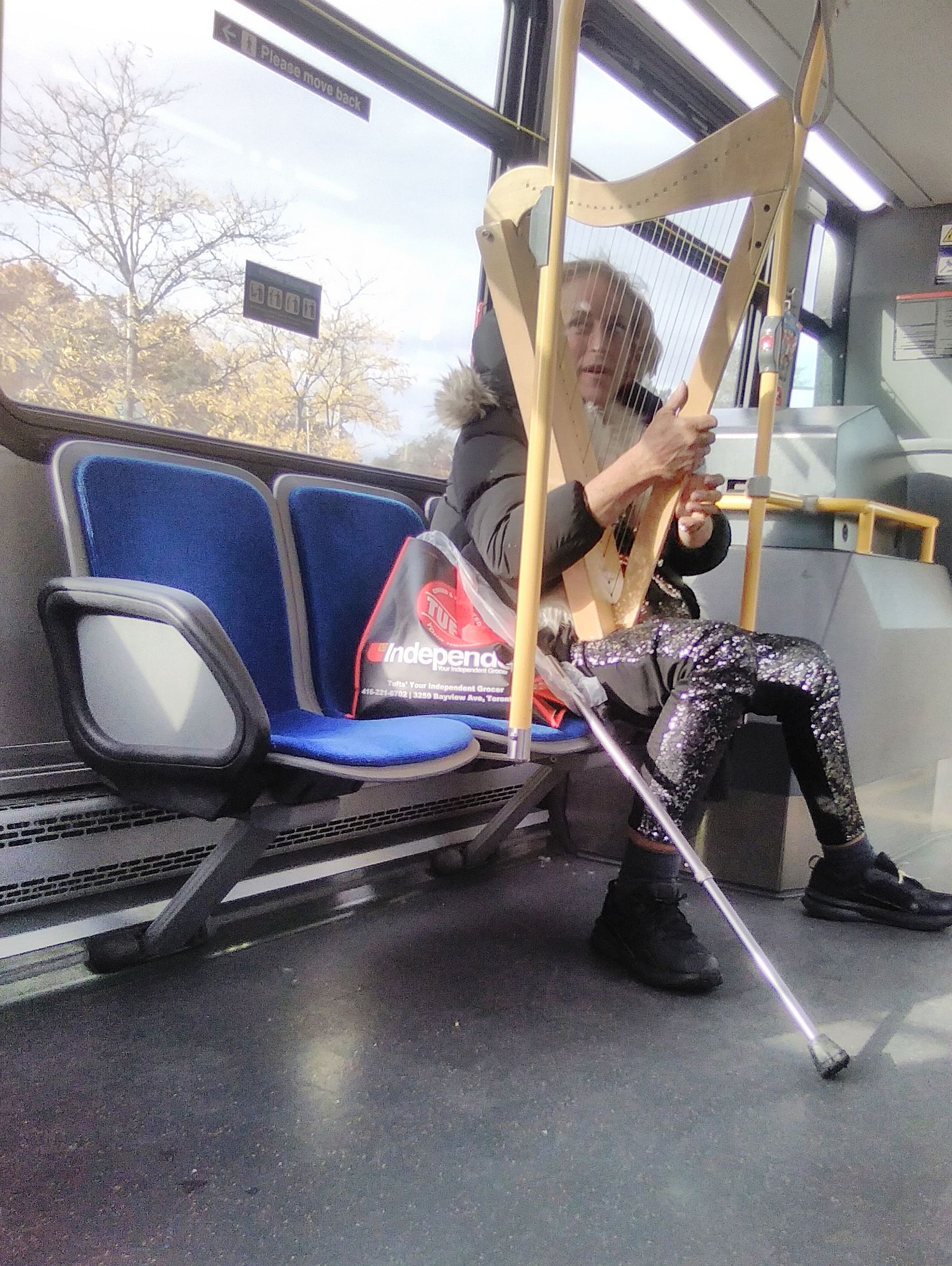 A person who looks like Buffalo Bill from The Silence of the Lambs  sitting on a bus with a homemade harp.

